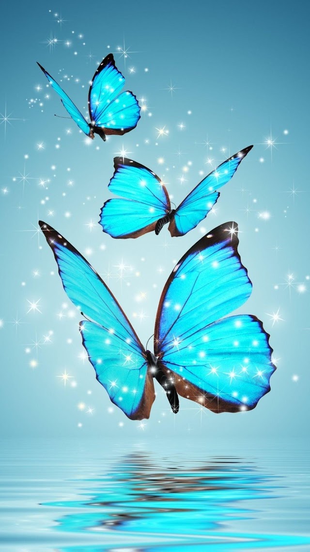 Iphone 6 Butterfly Wallpaper
