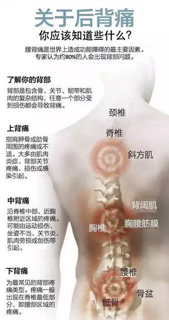 热爱运动的我 为什么还会腰背痛 中华健康网