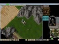 Ultima Online Prospector's Tool