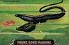 faunesousmarine 5