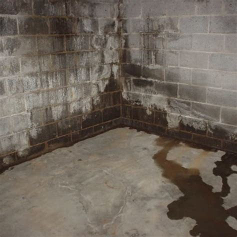 basement waterproofing basement repair basement wet