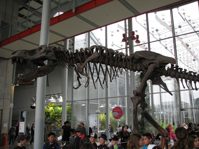 Tyrannosaurus rex