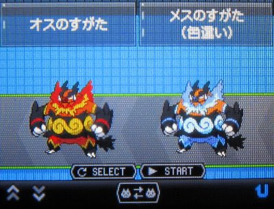 テトのひだまり日記 ポケモンbw Bw2