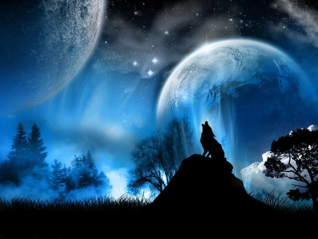 Cool Backgrounds Wolf DNAQRO