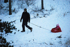sledding