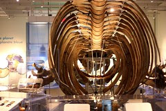 museum of nature - reopened