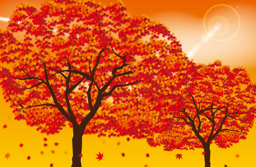 フリーイラスト 紅葉したもみじの木の風景でアハ体験 Gahag 著作権フリー写真 イラスト素材集