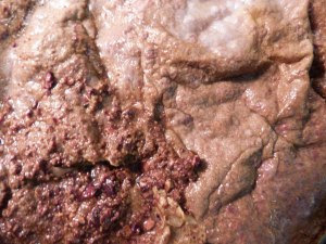 Coffee Cacao (Coffea arabica & Theobroma cacao) Coffee Cacao (Coffea arabica Theobroma cacao)