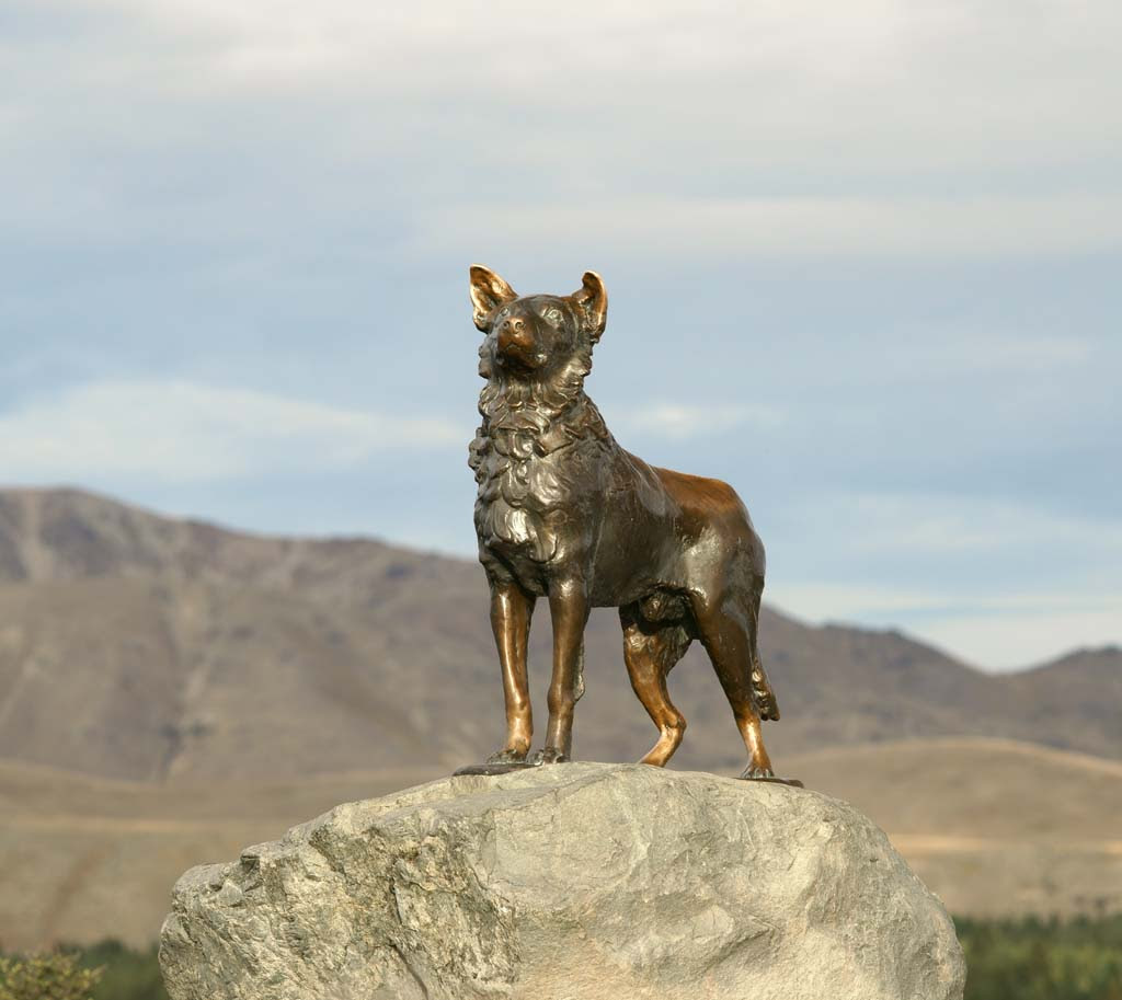 ゆんフリー写真素材集 No 牧羊犬 ニュージーランド テカポ