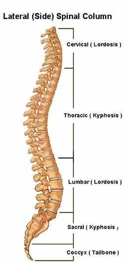  Headaches, Neck Pain, Shoulder Pain, Migraines, Acid Reflux, Tennis