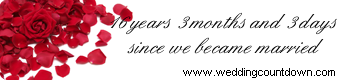 wedding websites