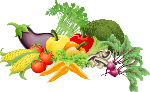 Vegetable Garden Clipart