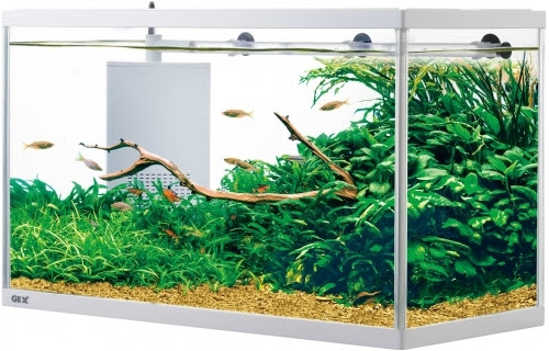 水槽の水換えがぐっと楽になる方法 熱帯魚 アクアリウム情報マガジン