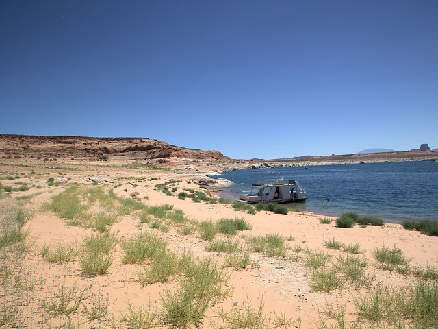 Swimming at Antelope Point 5-20130622