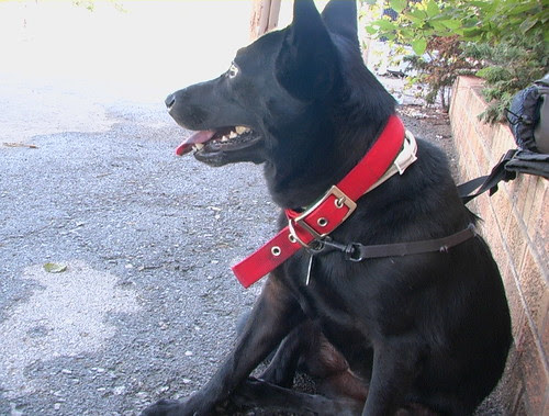 Friday 7 September 2007