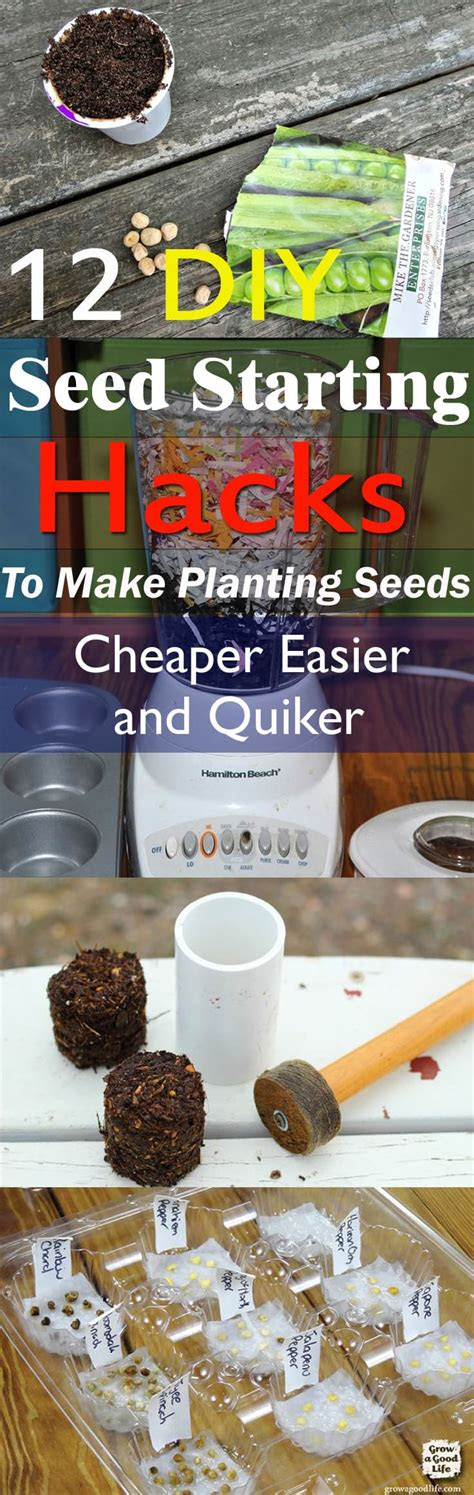 Sowing Seed Hacks