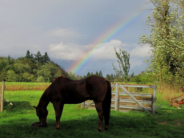 Pride - March 1982-Jan 2014