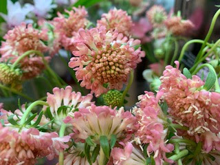 年07月 ラ フローラ 福岡県久留米市の花屋