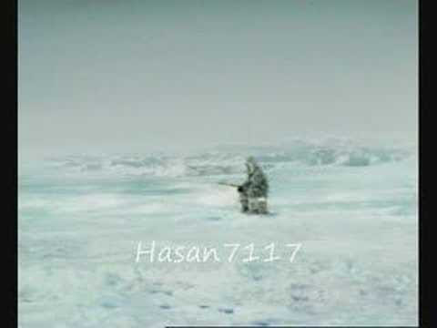 funny video clip. Funny Video Clips - Shark