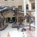 20130627_104458