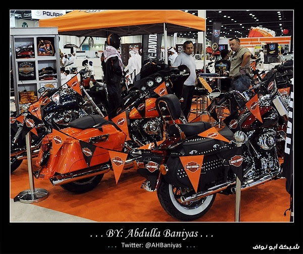 بعدستي | المعرض الدولي للصيد والفروسية - أبوظبي 2012‎