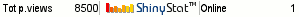 Website analytics