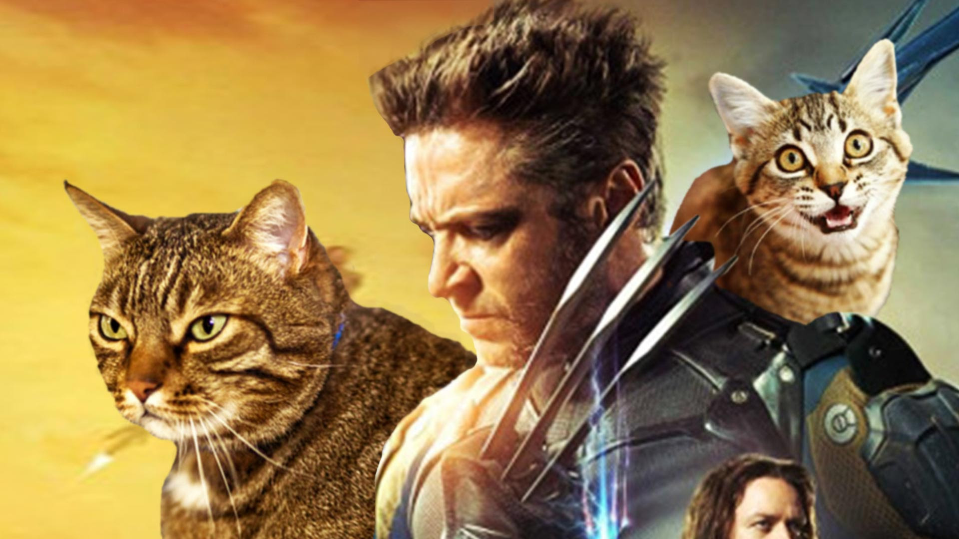 X-Men-Cats-THUMB u2014 Major Spoilers