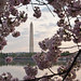 JDP-20100404-12.jpg
