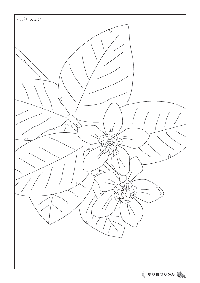 6月の花ぬりえ 塗り絵のじかん