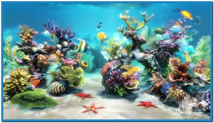 Live Aquarium Wallpapers for Windows 8 1 WallpaperSafari Live Aquarium Wallpapers for Windows 8 1 WallpaperSafari