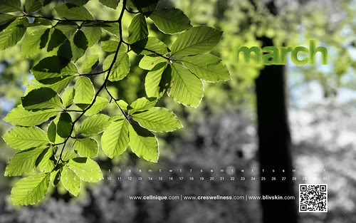 wallpaper march 2011. March 2011 wallpaper 3