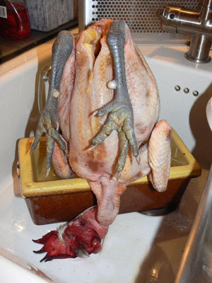 poulet 2.jpg