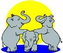 elephants.jpg