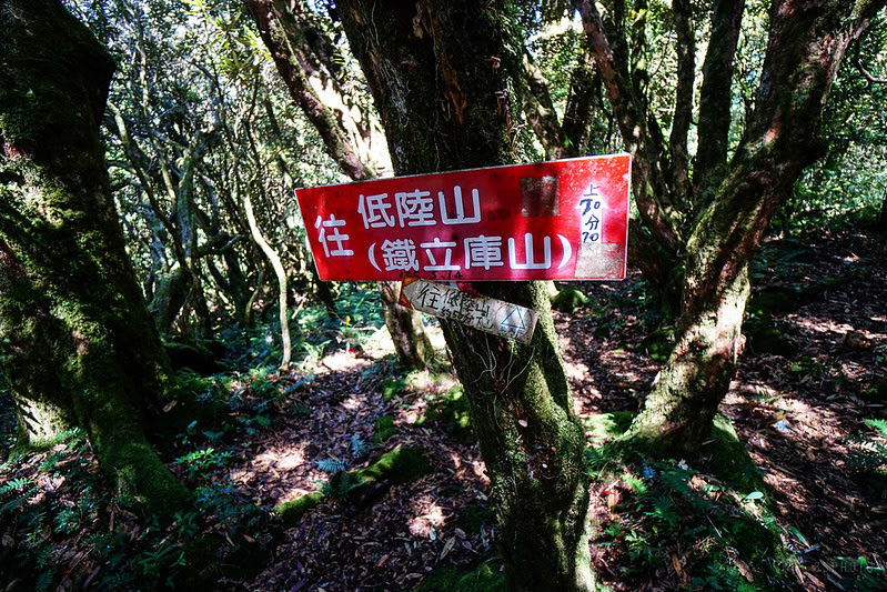 DSC06341
