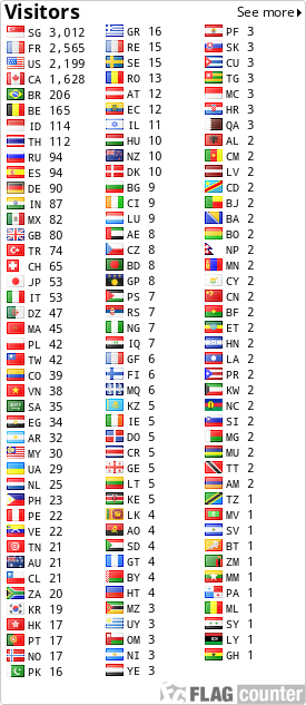 Flag Counter