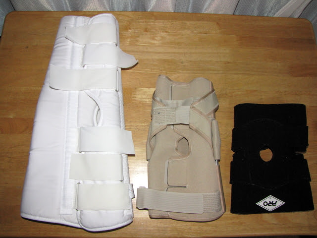 左膝前十字靭帯断裂の治療経緯 ホーリーの四苦八苦日記