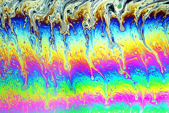 golden retriever puppies for sale in trinidad. photos of golden retriever