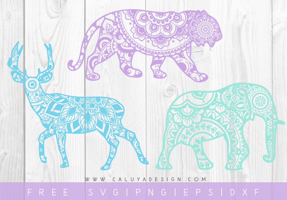 Download Free Mandala Animal SVG, PNG, DXF & EPS Cut File Download