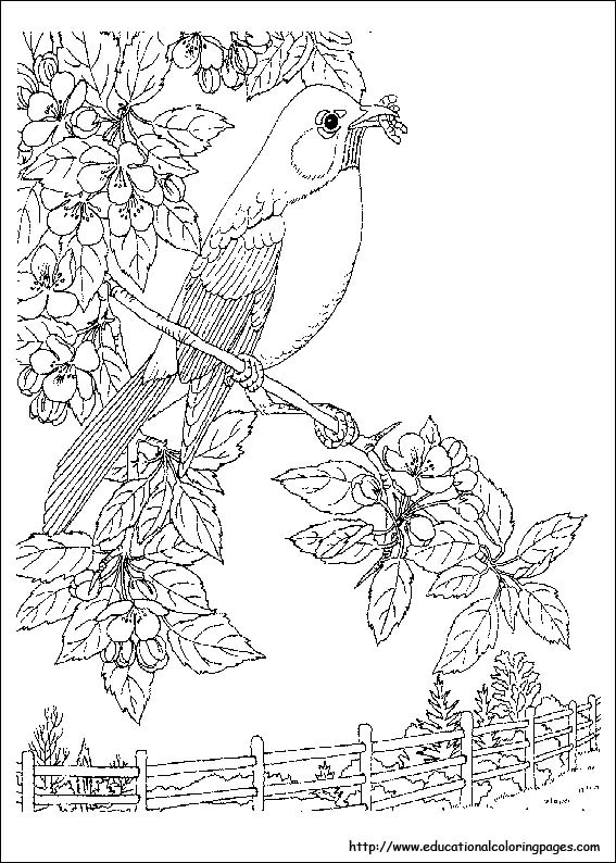 Realistic Nature Coloring Pages at GetColorings.com | Free ... Leave a comment below and share with us!
