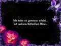 Sprüche Zum Tod Meiner Katze