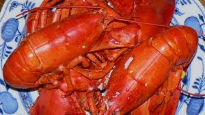 Lobster 4