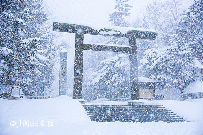 北海道 札幌 冬之雪国里的白色恋歌 美食与雪景都不可辜负 新浪旅游 新浪网
