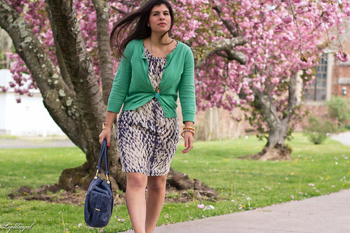 cherry blossoms-3.jpg