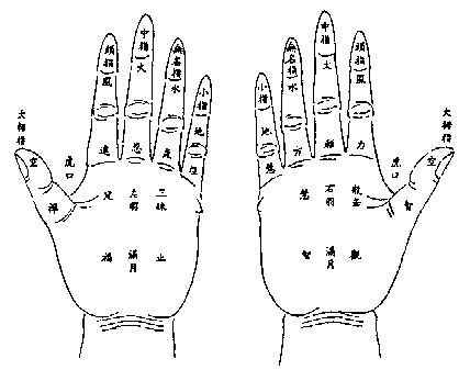 1P43K536-0