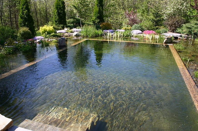 Natural Swimming Pools Design Ideas, Inspirations, Photos