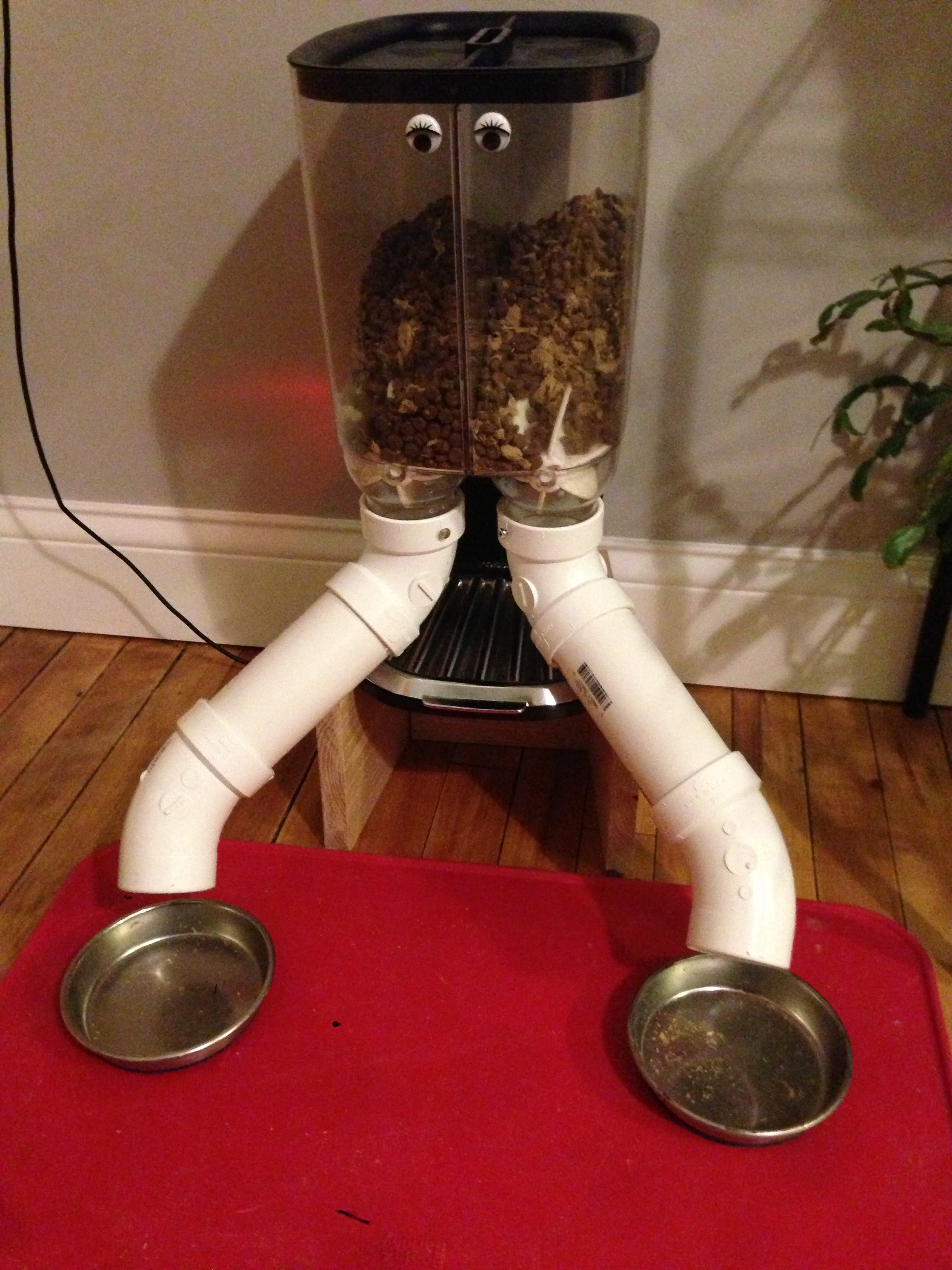 David Bryan s Blog Raspberry Pi Power Cat Feeder Updates David Bryan s Blog Raspberry Pi Power Cat Feeder Updates