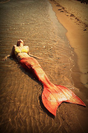 mermaid, ariel mermaid, real mermaid pictures,real mermaid picture, mermaid images, mermaids, are mermaids real, real mermaid image, mermaid photo, mermaid gallery-34