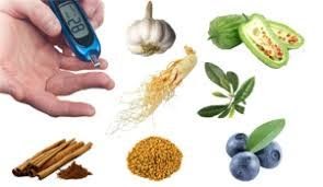 Best Herbs For Diabetes : Pickled onions â Cooking Blog â Find the best recipes, cooking and food