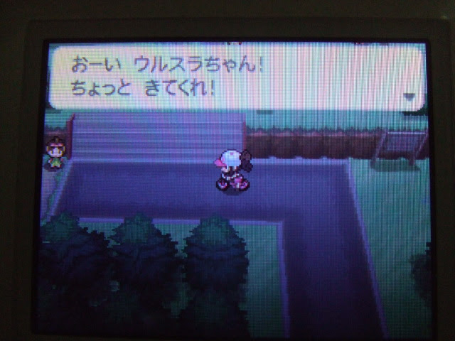 ポケモンｂｗ 強いポケモンを作るには 自動たまご孵化編 突撃ヘタレのゲームプレイ日記