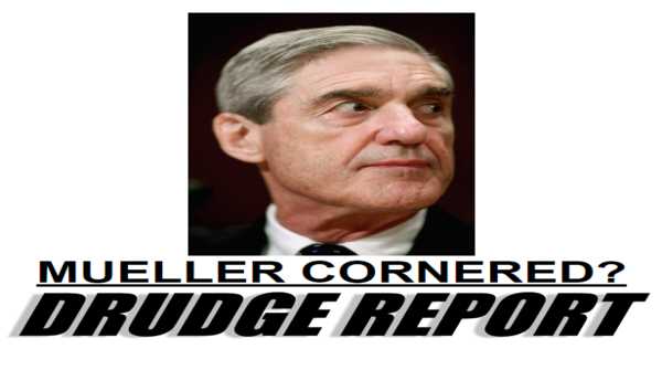 cornered_rat.png cornered_rat.png